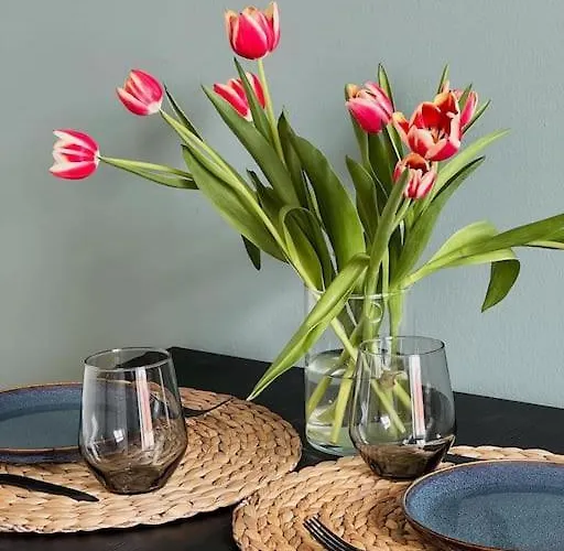 Appartement Stilvolle, Zentrale *